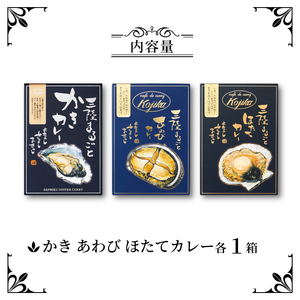 レトルトカレー 詰合せ 3個 カレー レトルト 辛口 甘口 ビーフカレー 玉ねぎ オニオンチャツネ カレー専門店 かれー curry スパイス スパイシー 簡単 時短 ごはん 夕飯 おかず 米 丼 常温 保存 常温保存 レンジ 加工食品 惣菜 大船渡 三陸 岩手県 国産