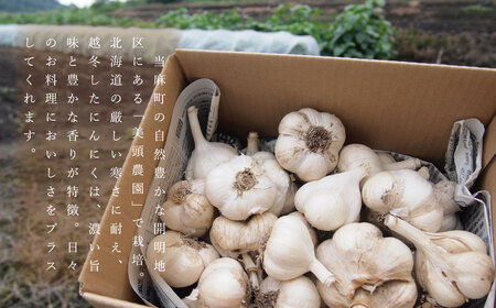 にんにく バラ 800g 訳あり ニンニク ばら 小分け 粒 便利 産地直送 北海道産 国産 北海道 7000円 10000円 以下 当麻町 お取り寄せ 送料無料 数量限定 美頭農園【AK-011】