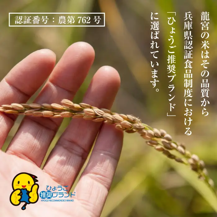 【定期便12ヶ月】龍宮の米 淡路島産 海藻肥料栽培米 5.0kg