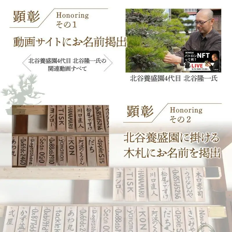 【ふるさと納税】盆栽パトロンNFT ゴールドランク（デジタル商品・実物の盆栽は含まれません）