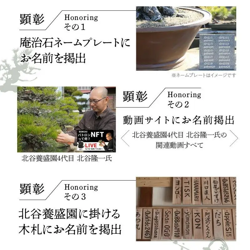 【ふるさと納税】盆栽パトロンNFT ブラックランク（デジタル商品・実物の盆栽は含まれません）