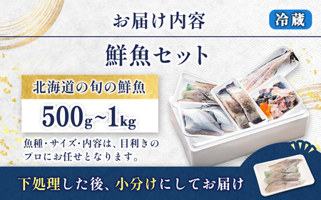 お魚の目利きのプロにお任せ!北海道産 天然鮮魚 約500g～1kg_産地直送 冷蔵 冷蔵便 刺身 セット 鮮魚セット 鮮魚ボックス 魚介類 海鮮 絶品 人気 ヒロセ 北海道 釧路町 釧路超 特産品 _【配送不可地域：離島・沖縄県・信越、北陸・東海・近畿・中国・四国・九州】【1285921】