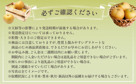 熊本市産 梨 （幸水・豊水・秋月・新高など） 約1.8kg （3～6玉）【2026年8月下旬～10月上旬迄発送予定】