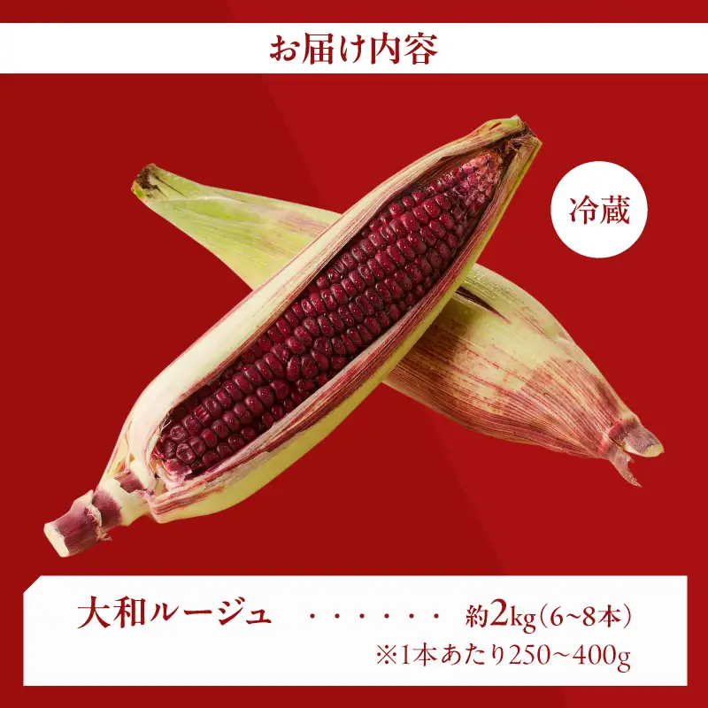 先行予約≪期間限定≫赤いスイートコーン大和ルージュ(約2kg) とうもろこし 野菜 国産_T003-0075