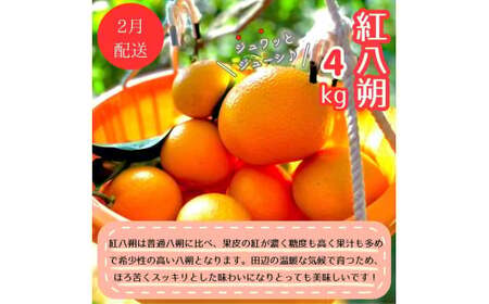 【4回定期便】和歌山 贅沢みかんフルコース / 宮川早生みかん・ポンカン・紅八朔・不知火※2026年12月より発送（期間限定・12/20まで受付） / 和歌山県 ミカン フルーツ 果物 柑橘 田辺市 みかん くだもの【nak030-tk】