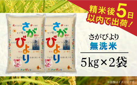 令和7年産 さがびより 無洗米 白米 計10kg（5kg×2袋）/ 白米 [41ACBW004]
