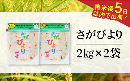 令和7年産 さがびより 白米 計4kg（2kg×2袋） / 佐賀県 / 株式会社森光商店 [41ACBW005]