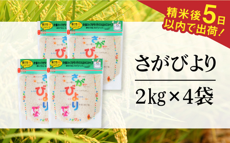 令和7年産 さがびより 白米 計8kg（2kg×4袋） / 佐賀県 / 株式会社森光商店 [41ACBW013]