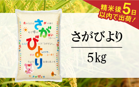 令和7年産 さがびより 白米 5kg / 佐賀県 / 株式会社森光商店 [41ACBW018]