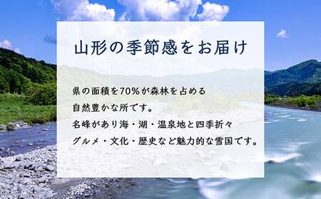 《2026年 先行予約》 スチューベン ぶどう 8～11房 2.5kg【2026年9月から発送】 ブドウ 葡萄 デザート フルーツ 果物 くだもの 果実 食品 山形県 FSY-2412