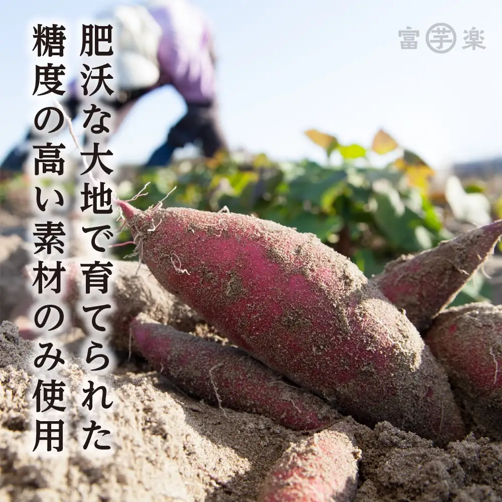 【先行予約】濃味熟成 干し芋 800g 12月以降発送_CE008