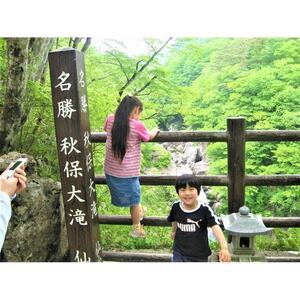 観光タクシー 秋保・定義コース　【チケット 券 人気 おすすめ 】