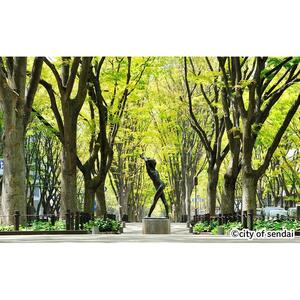 【仙台市】JTBふるさと旅行券（90,000円分）有効期間5年 | 予約 宿泊 観光 体験 温泉 ホテル 旅館 チケット 子供 子連れ カップル 家族 店頭 電話 仙台