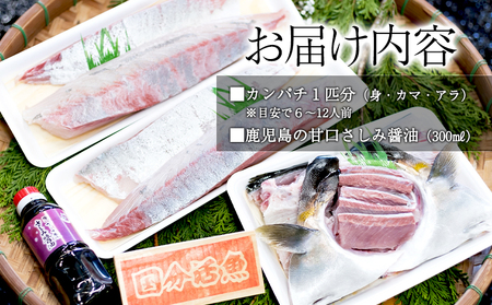 C3-6401／【鹿児島県垂水市産】カンパチ（１匹）　甘口さしみ醤油付き