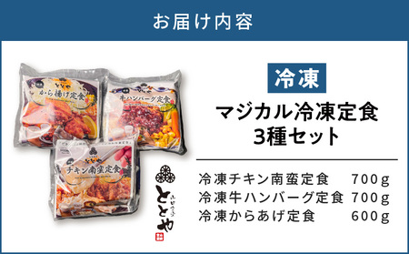 マジカル冷凍定食 3種セット K258-001 惣菜 総菜 冷凍 ハンバーグ