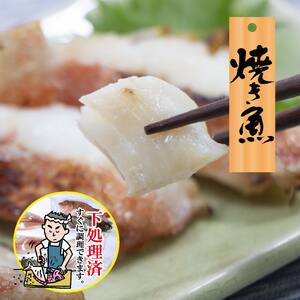 【嶋矢水産】 瀬戸内の鮮魚 直送便 下処理済み 産地直送 20000円 台 四人前 刺身 煮魚 焼き魚 瀬戸内海 愛媛 松山 老舗 魚 人気 イサキ タイ 鯛 ワカナ サワラ 鰆 炙り メバル オコゼ イサキ チダイ タチウオ【SMY002】