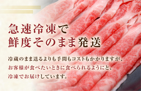 【 定期便 】 訳あり 飛騨牛 バラエティ 3回 計1.9kg 訳あり [S608]