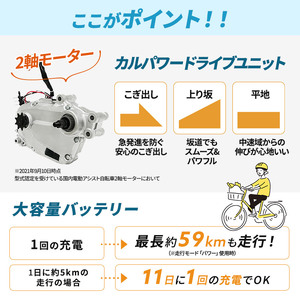 パナソニック 電動アシスト 自転車 ビビ・DX 26インチ マットオーツベージュ