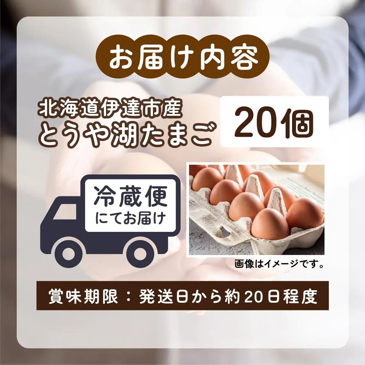 [5525-0907]北海道 伊達市 とうや湖 卵  20個 入り たまご