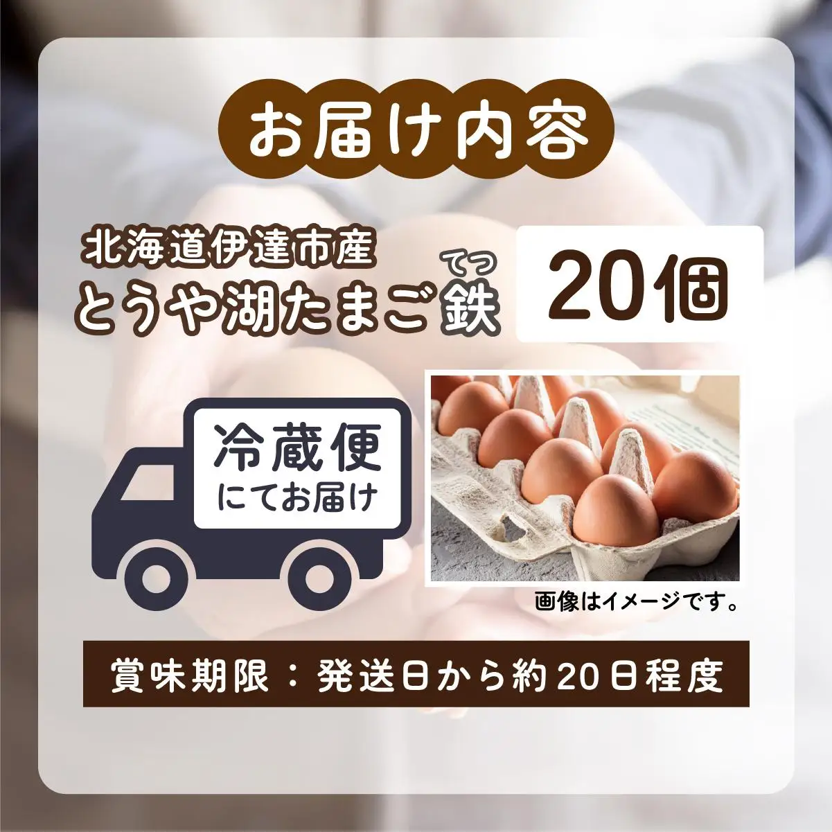 [5525-0908]北海道 伊達市 とうや湖 卵 鉄  20個 入り たまご