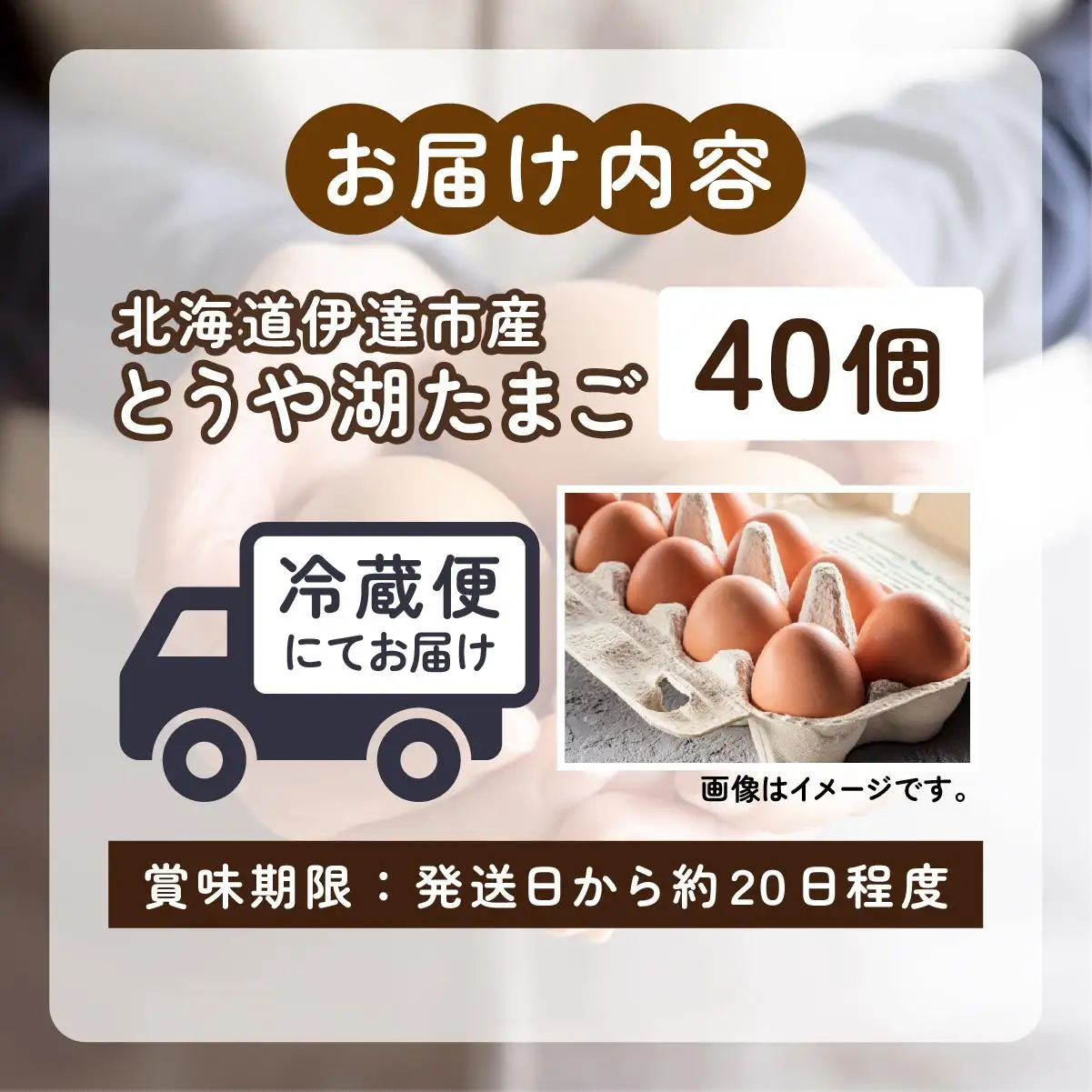 [5525-0909]北海道 伊達市 とうや湖 卵  40個 入り たまご