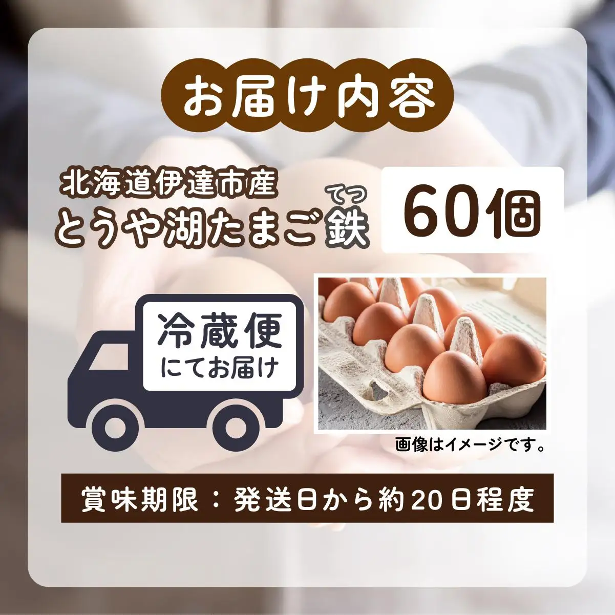 [5525-0912]北海道 伊達市 とうや湖 卵 鉄  60個 入り たまご