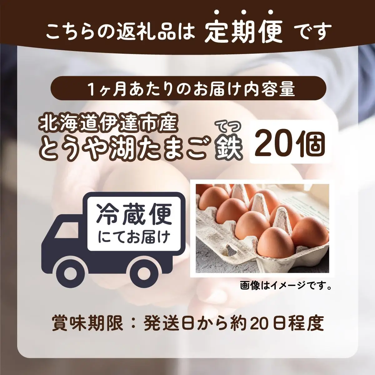 [5525-0918]【6ヵ月 定期便】 北海道 伊達市 とうや湖 卵 鉄  20個 入り たまご
