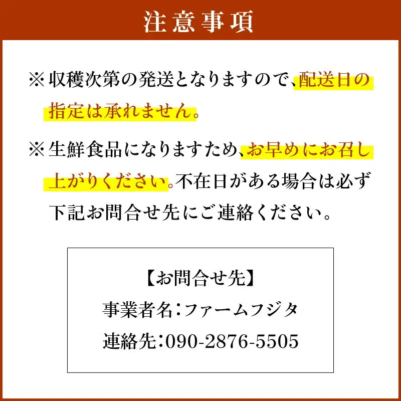 【2026年9月下旬以降発送】千両梨 5kg箱(10玉)北海道産 余市町産　シャキシャキとした食感とサッパリとした甘みが特徴 季節限定 千両梨 季節の味覚 5kg 箱 梨 ほぼ余市町でしか生産されていない 果物 フルーツ 贈り物 ギフト フルーツギフト お取り寄せ 北海道 余市町産 送料無料_Y015-0036
