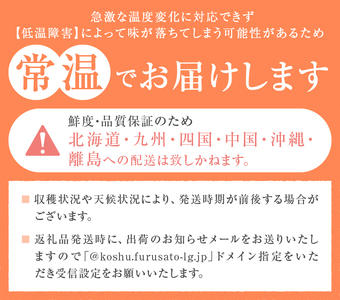 丹精込めて育てた甲州市の桃 約3kg（9～12玉）【2026年発送】（HCF）B13-845 桃 フルーツ