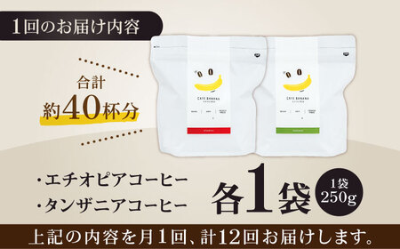コーヒー[豆]12回定期 自家焙煎スペシャルティコーヒー豆(250g×2種)約40杯分ZCJ020