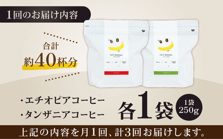 コーヒー[豆]3回定期 自家焙煎スペシャルティコーヒー豆(250g×2種)約40杯分ZCJ019