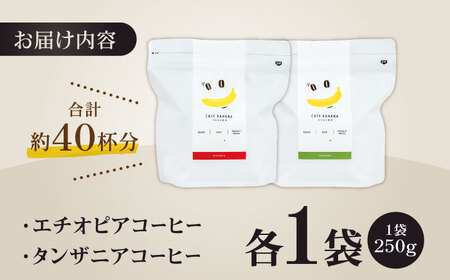 コーヒー[豆]自家焙煎スペシャルティコーヒー豆(250g×2種)約40杯分ZCJ015