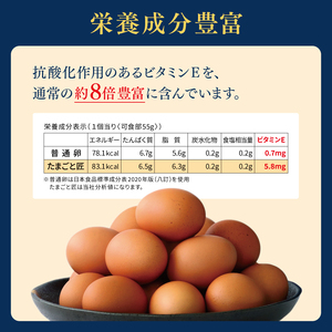 たまご 【たまごと匠】 赤玉 20粒