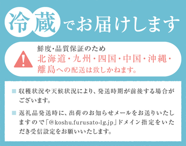 見た目が理由の訳あり桃 約2kg（5～9玉）【2026年発送】（HCF）A07-845 訳あり 桃 フルーツ