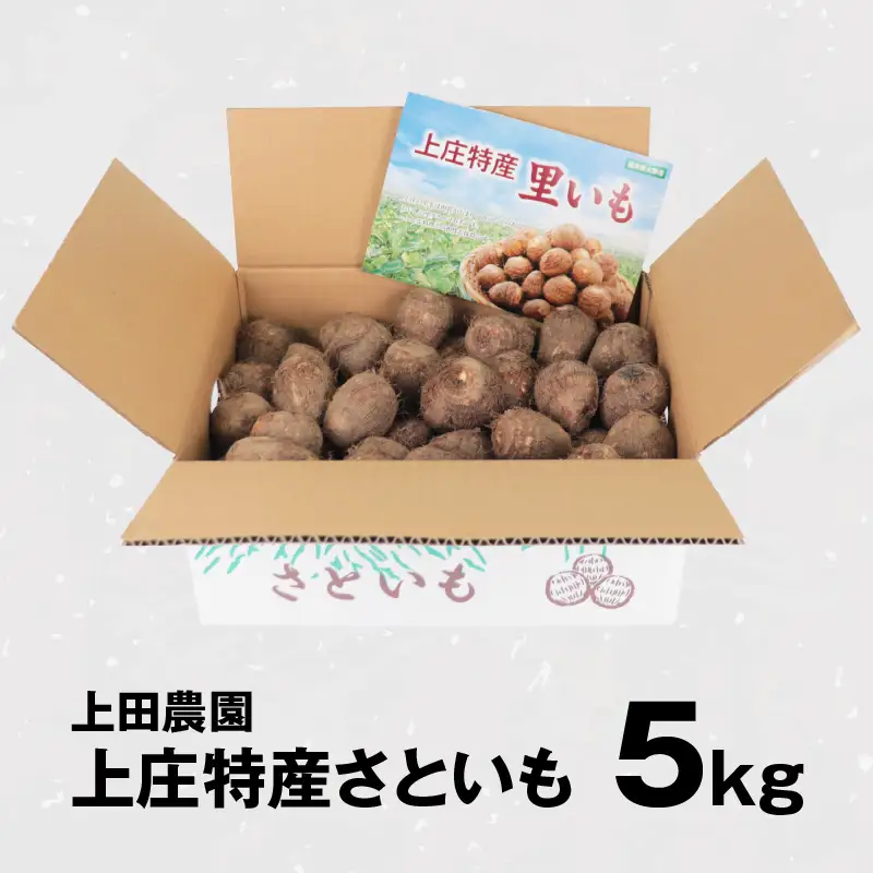 【先行予約】【満天☆青空レストランでご紹介】上田農園 上庄特産さといも 5kg【10月下旬から順次発送】年内発送