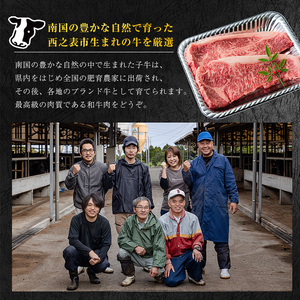 種子島 生まれ！ 黒毛 和牛 BBQ 焼肉セット 1kg　NFN547 【1425pt】 