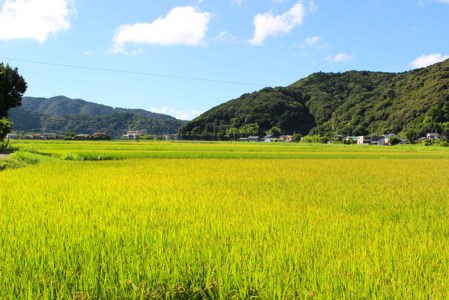 【令和4年産】ふくい農園のおいしいお米（コシヒカリ10kg）期間限定・数量限定