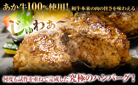 くまモン あか牛 ハンバーグ 120g×6個 あか牛のたれ付き 熊本県産 あか牛 あかうし 三協畜産 《60日以内に出荷予定(土日祝除く)》 熊本県 南阿蘇村 タレ付き ハンバーグ 熊本和牛 送料無料