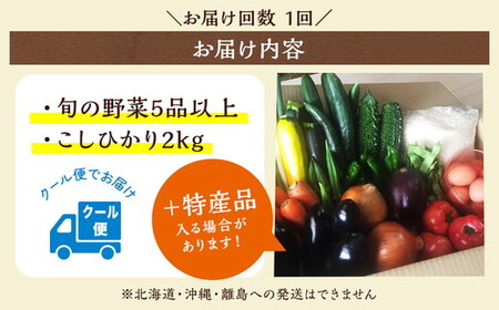 旬の野菜・米 詰め合わせセット 野菜 米 ●