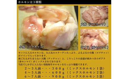 羽後和牛もつ鍋セット2～3人前 しょうゆ味 鍋物 グルメ 新鮮ホルモン 夕飯 集まり イベント 女子会 忘年会 新年会 鍋料理 