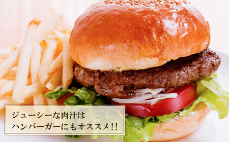 淡路島玉ねぎと国産牛の生ハンバーグ150g×20個　ハンバーグ