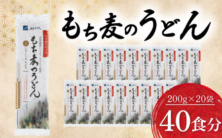 うどん もち麦のうどん 200g×20袋 40食分 うどん BJAY001