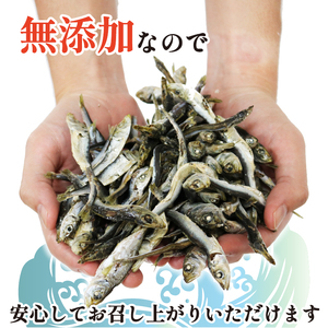 【良質なだし】 無添加煮干し 2kg (500g×4袋) 煮干し