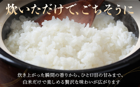 令和7年産 米 お米 コシヒカリ うまかん米 3ヶ月 定期便 5kg JAおやま 《30日以内に出荷予定(土日祝除く)》 栃木県 野木町産 コメ 米 ブランド米 こしひかり【栃木県共通返礼品】