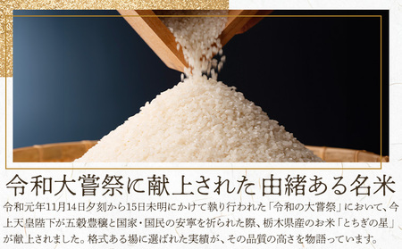 令和7年産 米 お米 とちぎの星 6ヶ月定期便 5kg JAおやま《30日以内に出荷予定(土日祝除く)》 栃木県 野木町産 コメ 米 ブランド米 とちぎのほし【栃木県共通返礼品】