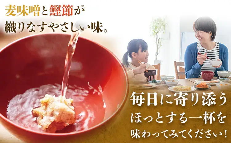 訳あり 茶節 300g×3個 ちゃぶし 郷土料理 みそ さつま食品《30日以内に出荷予定(土日祝除く)》訳あり品 ご当地 味噌汁 麦みそ 味噌 調味料 和食 汁物 鹿児島県 さつま町
