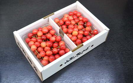 【2026年産 先行予約】山形県産さくらんぼ 佐藤錦 秀品 L玉 1kg (500g×2パック) 化粧箱入り FSY-2199