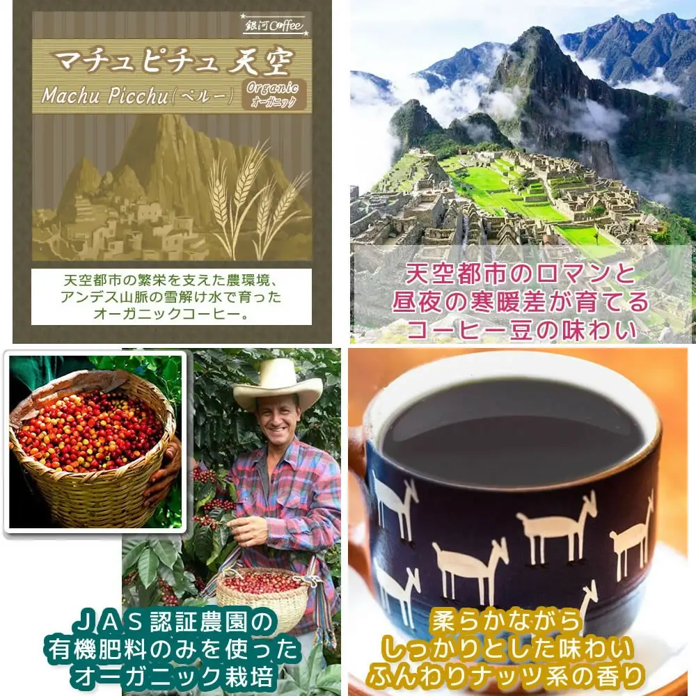 【12203-0100】世界の高級コーヒー（豆のまま）100g×4種 銀河コーヒー