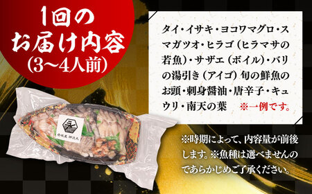 【全3回定期便】 豪快 舟盛り 「永村印の神洸丸大漁舟盛り」 3～4人前《壱岐市》【神洸水産】 刺身 刺し身 海鮮 鮮魚 海産物 [JFI002]