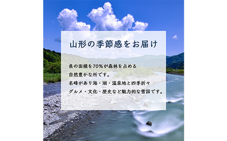 【2026年発送先行予約】西洋梨 5玉～9玉 2.5kg《品種指定はできません》 なし ナシ 梨 デザート フルーツ 果物 くだもの 果実 食品 山形県 FSY-2704